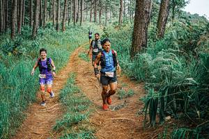 BIB: 
                            <button type="button" onclick="openModal(25653134)" class="btn btn-primary btn-sm float-right btn-popup" data-toggle="modal" data-target=".modal-high-quality">
                        <i class="fas fa-shopping-cart"></i> Add to Cart
                    </button>
                                            <button type="button" onclick="isThisMe(25653134, true)" class="btn btn-success btn-sm float-right btn-popup btn-isme hidden" data-toggle="tooltip" data-placement="bottom" title="นี่คือรูปของคุณใช่ไหม คลิกที่นี่เพื่อเอาเข้าอัลบั้ม">
                        <i class="fas fa-plus"></i> Add to album
                    </button>
                    <button type="button" onclick="isThisMe(25653134, false)" class="btn btn-warning btn-sm float-right btn-popup btn-isnotme hidden">
                        <i class="fas fa-ban"></i> Remove from album
                    </button>